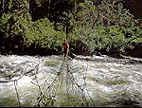 Bridge made of fibers in Pampa Hermosa - © Keith Muscutt